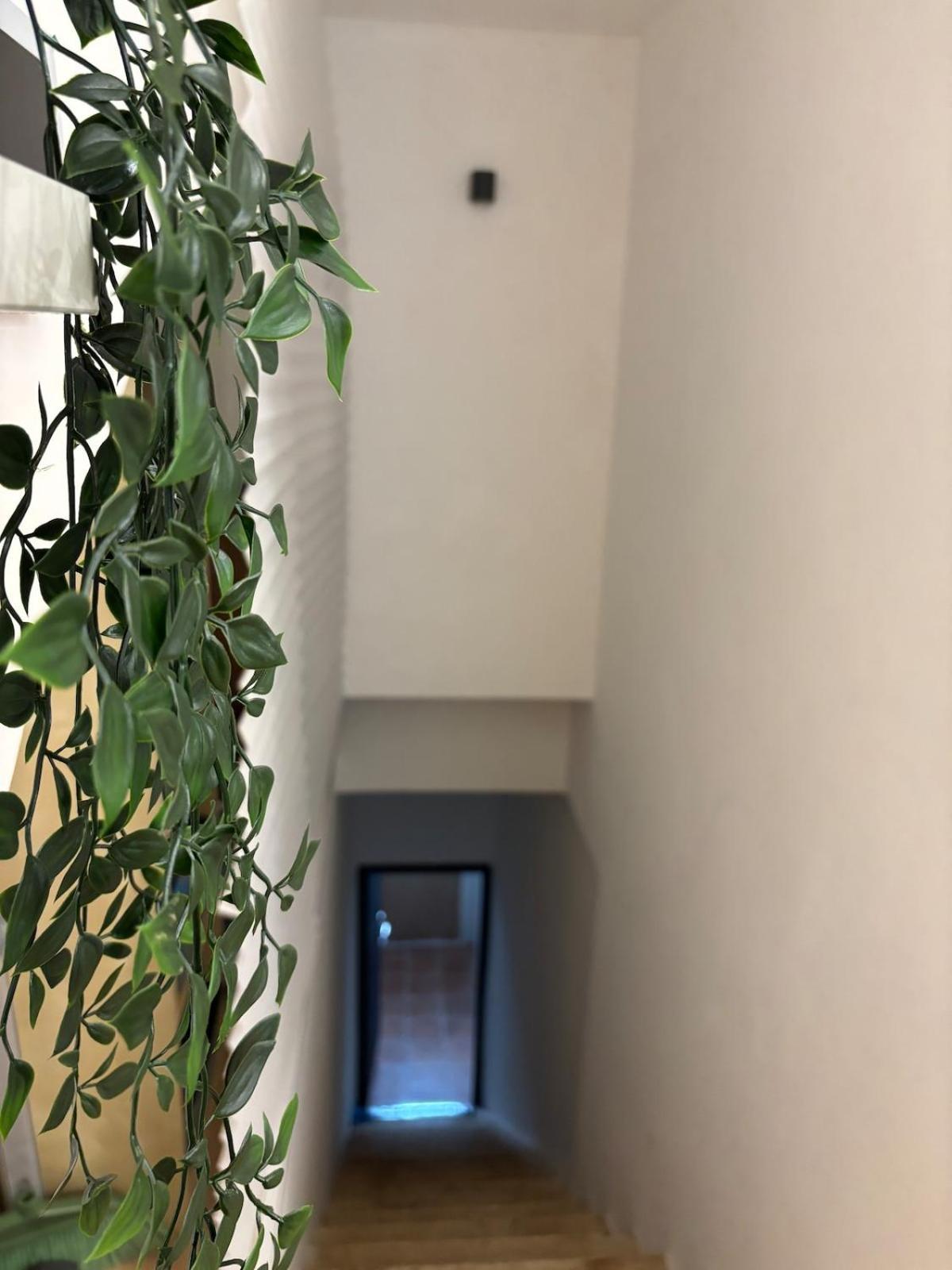 Apartment Ilia12 *